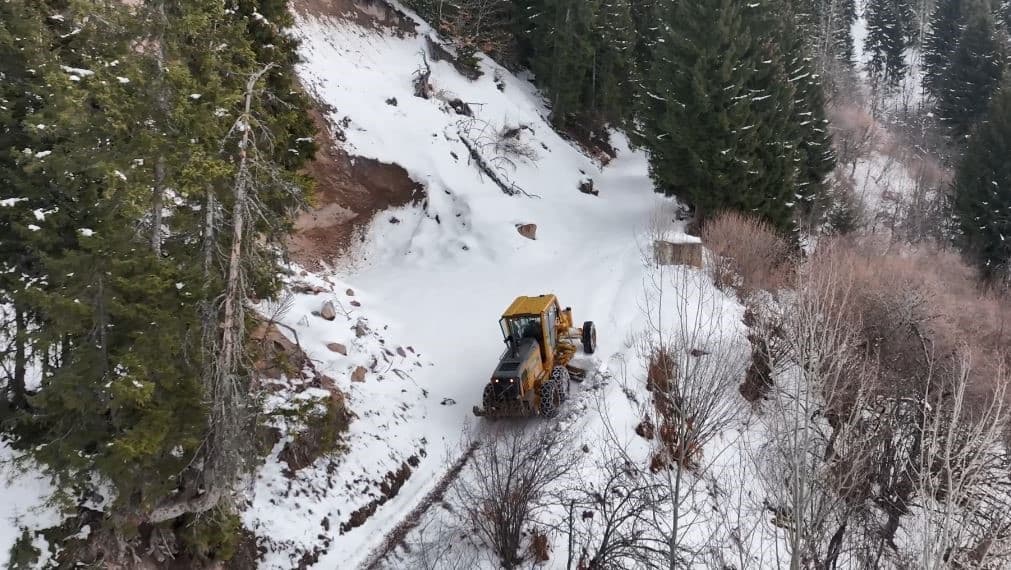 Artvin Orman Bölge Müdürlüğü’nden karla mücadeleye destek