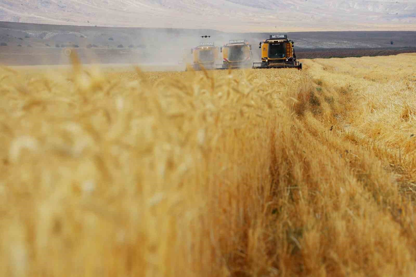 Yağan kar eridi, çiftçilerin yüzü güldü