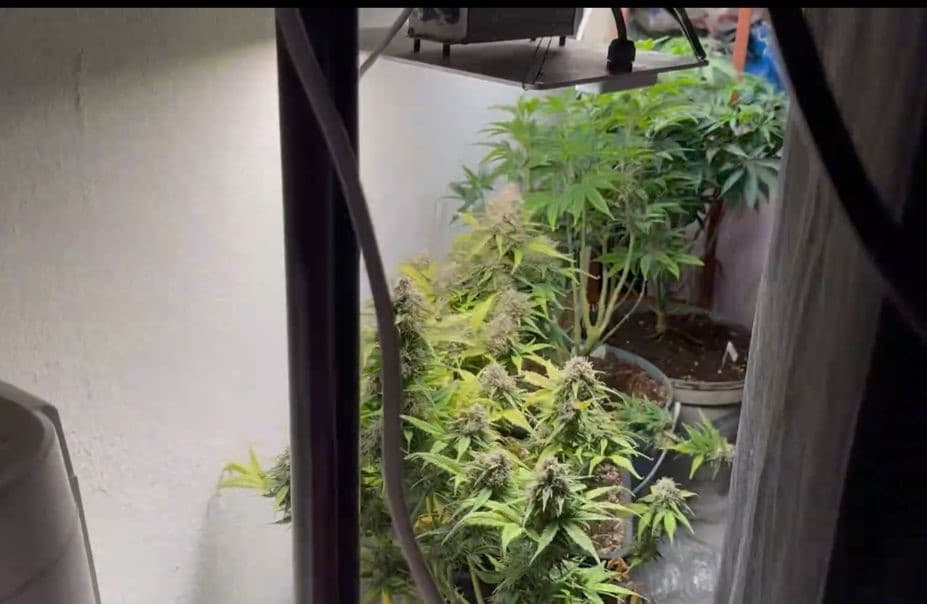 Burdur’da evi uyuşturucu imalathanesine çeviren şüpheli tutuklandı