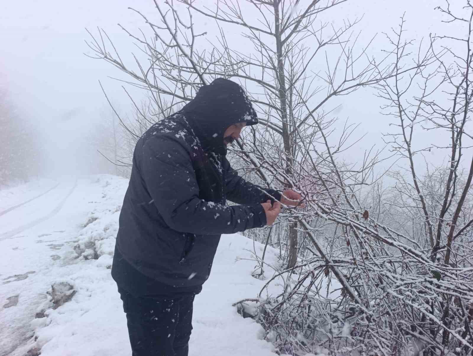 Kar altında kalan fındık bahçeleri, üreticileri tedirgin ediyor