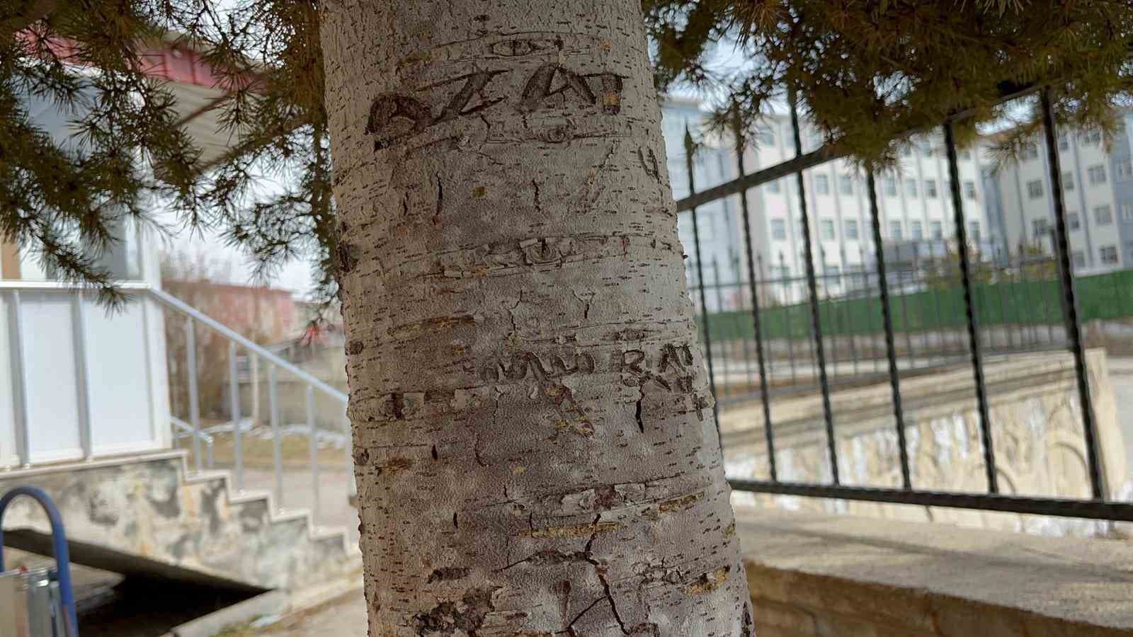 Adilcevaz’da camiye çirkin saldırı: Halılar üzerinde sigara izmaritleri söndürüldü