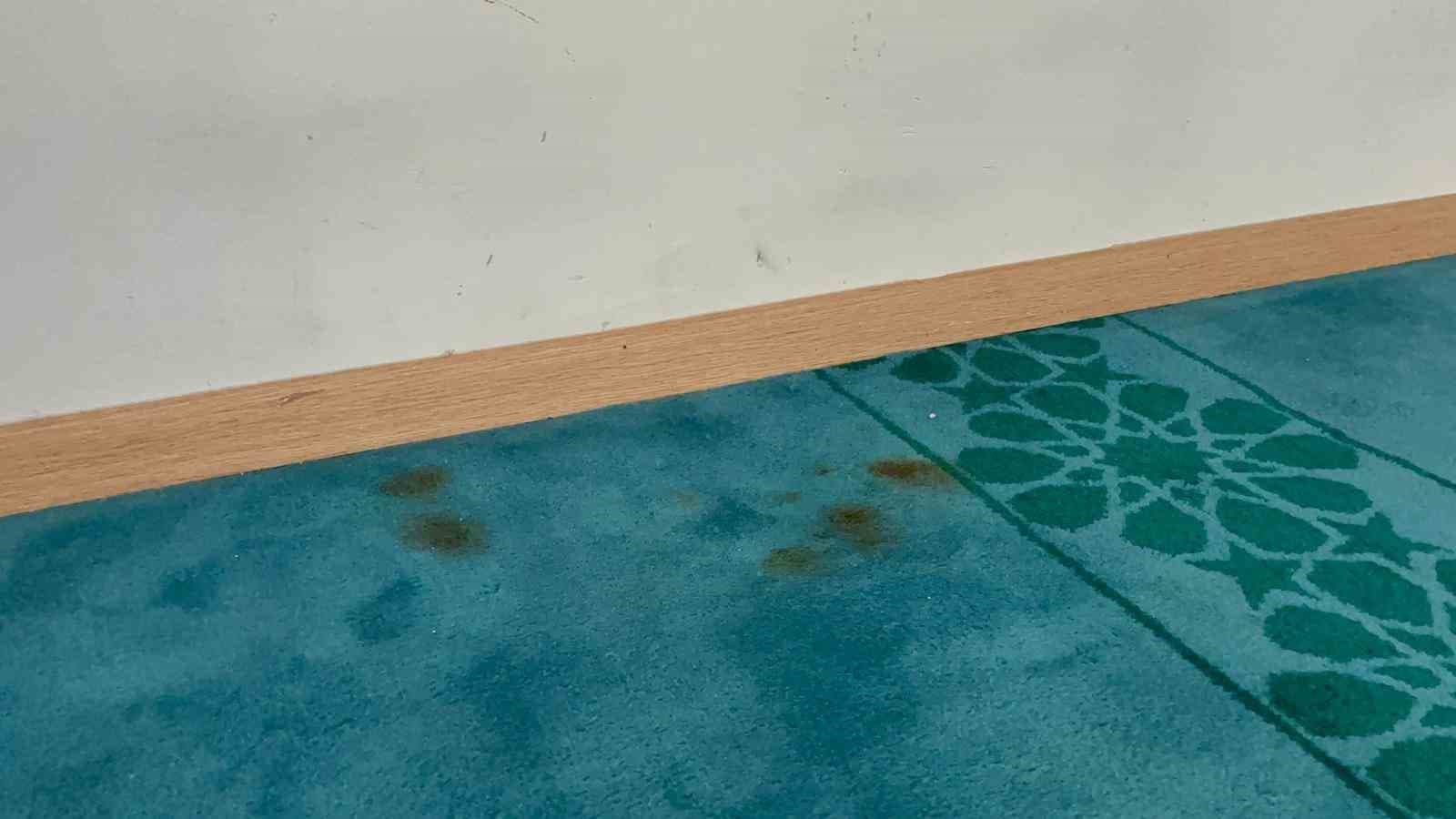 Adilcevaz’da camiye çirkin saldırı: Halılar üzerinde sigara izmaritleri söndürüldü