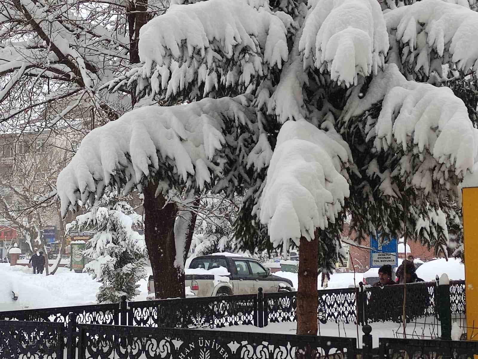 Ardahan’da kar yağışı yeniden başladı