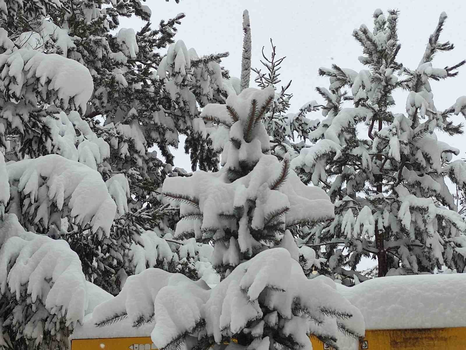 Ardahan’da kar yağışı yeniden başladı