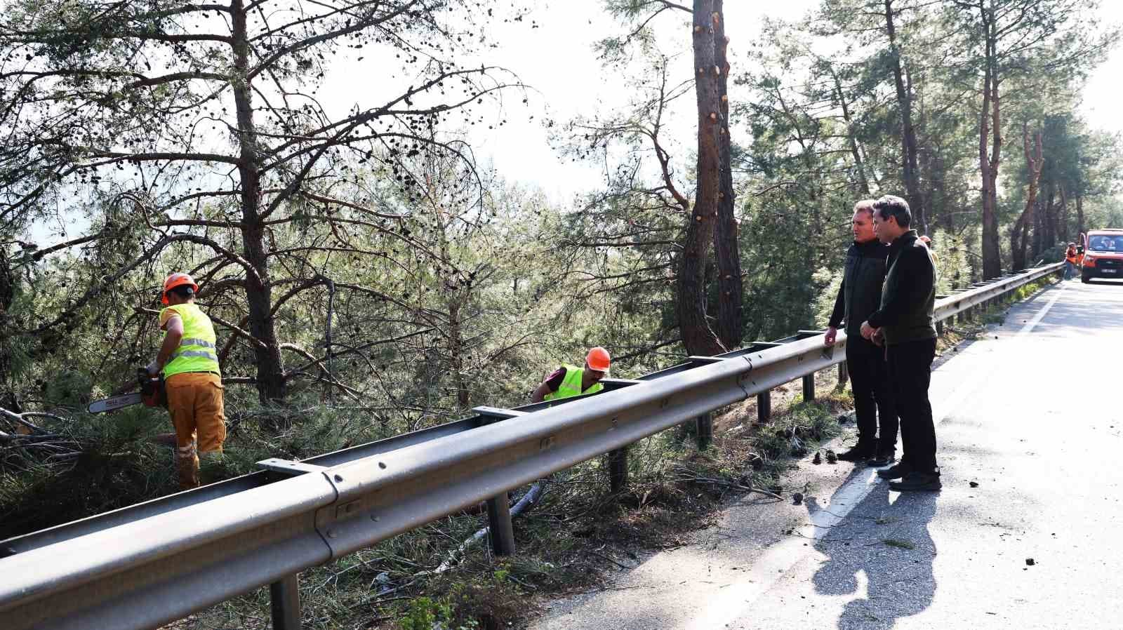 Muğla’da yangın sezonu öncesi Sakar Geçidi’nde riskli dallar temizleniyor