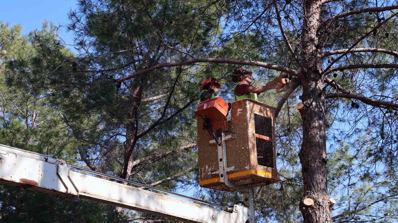 Muğla’da yangın sezonu öncesi Sakar Geçidi’nde riskli dallar temizleniyor