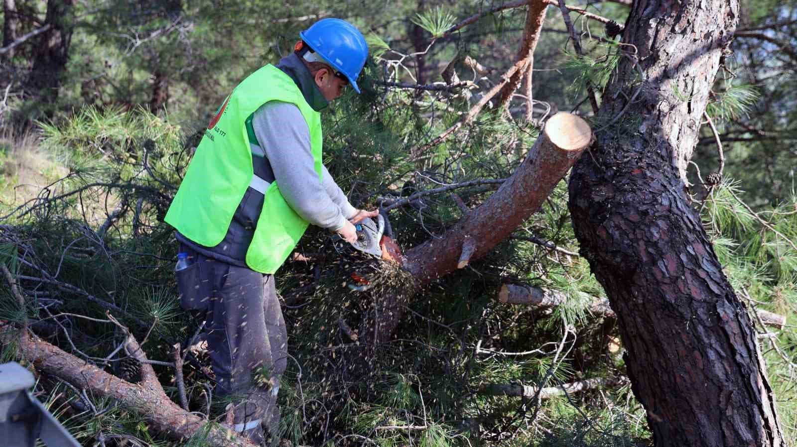 Muğla’da yangın sezonu öncesi Sakar Geçidi’nde riskli dallar temizleniyor
