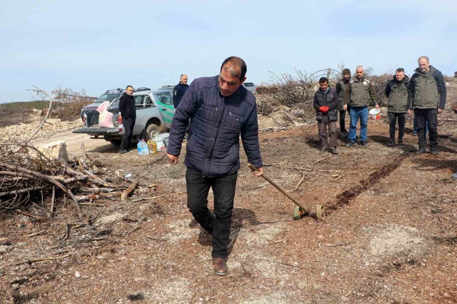 Eskişehir’de yangın sonrası ağaçlandırma çalışmaları başladı