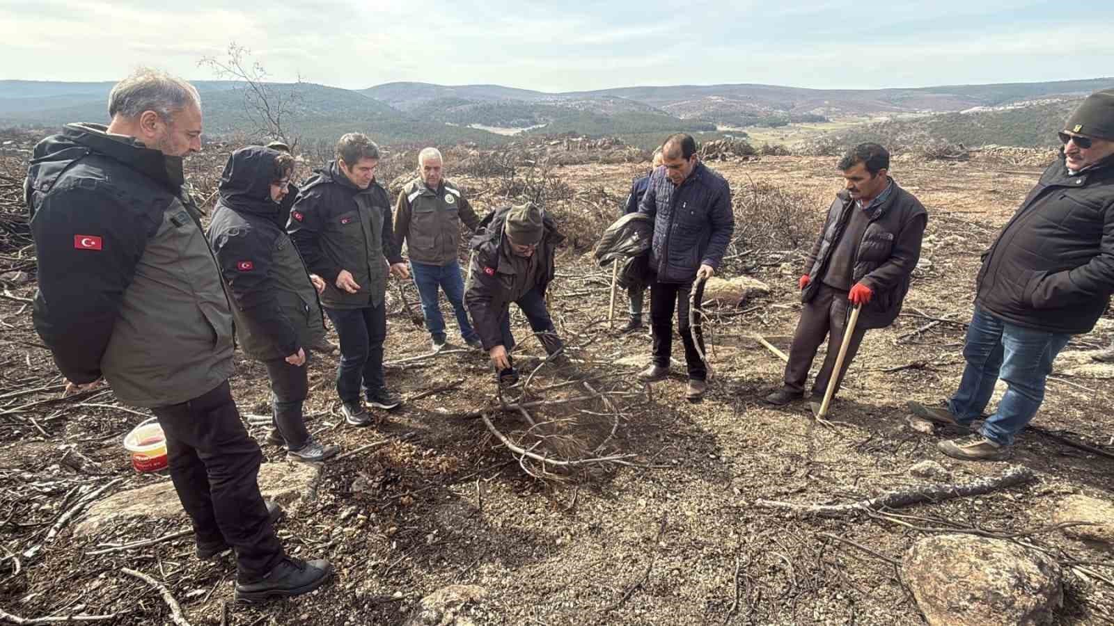 Eskişehir’de yangın sonrası ağaçlandırma çalışmaları başladı
