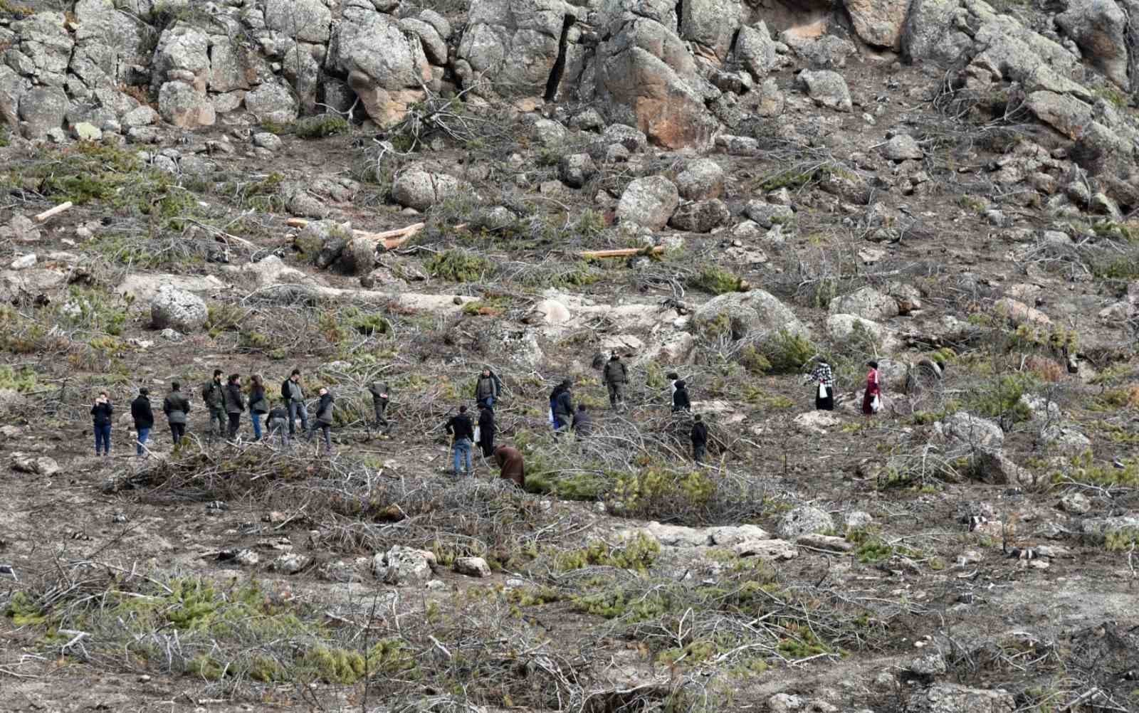 Eskişehir’de yangın sonrası ağaçlandırma çalışmaları başladı