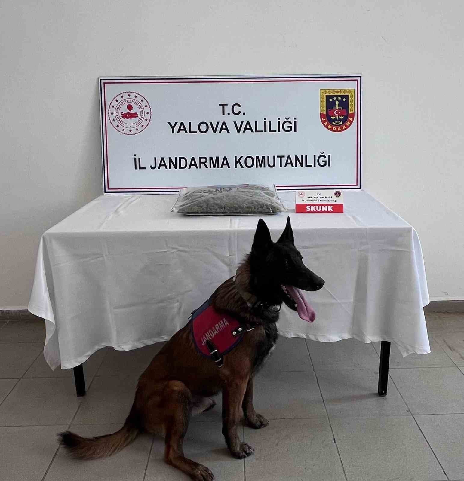 Yalova’da uyuşturucu operasyonunda 1 tutuklama