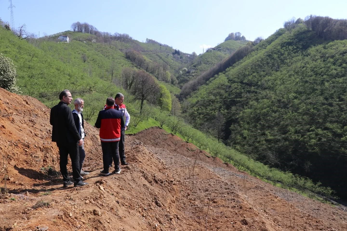 Teraslı fındık bahçeleri verimi artırdı, üretici memnuniyeti yükseldi