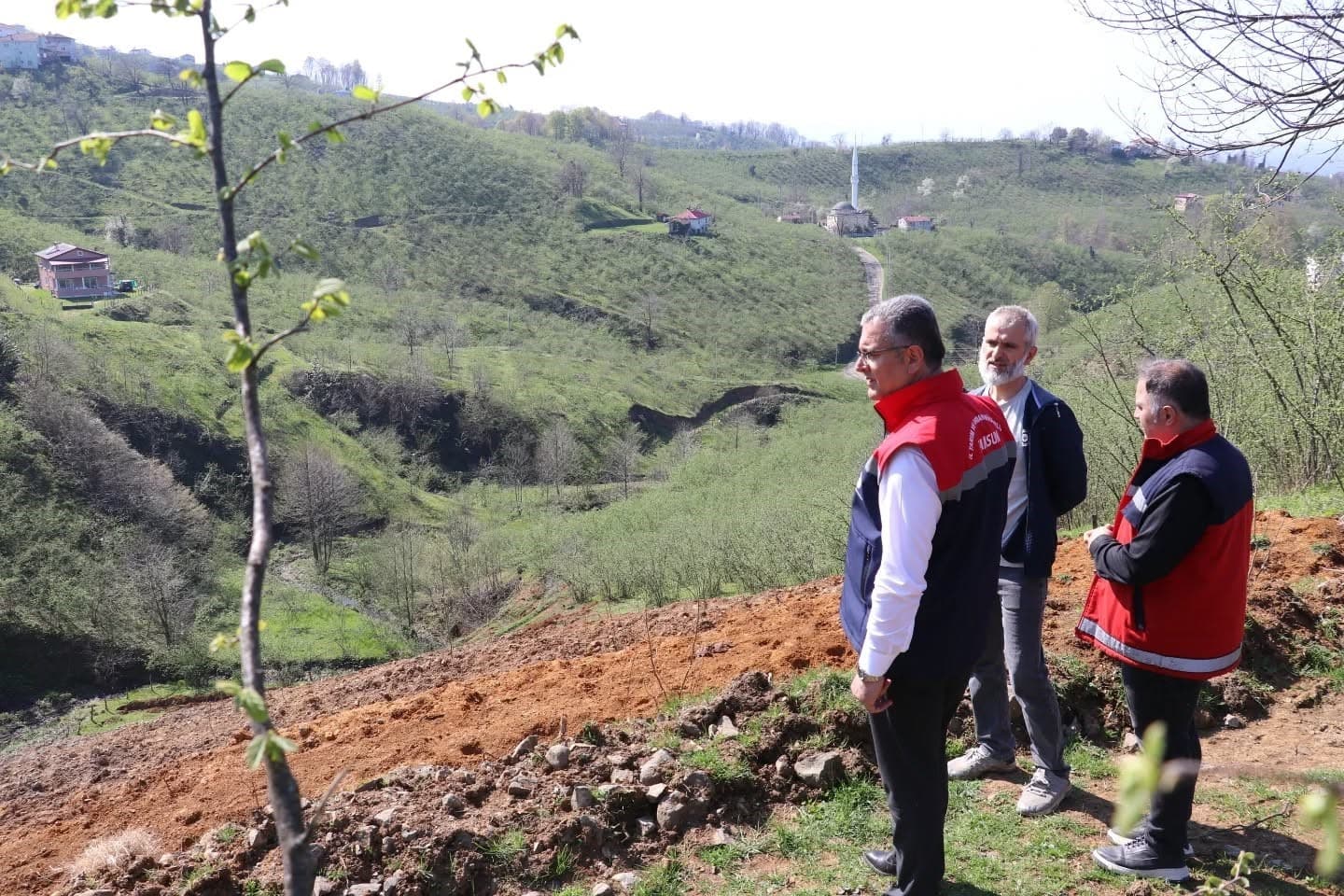 Teraslı fındık bahçeleri verimi artırdı, üretici memnuniyeti yükseldi