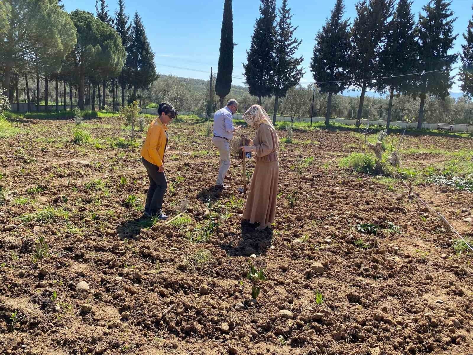 Edremit’te toprağa değer katan dokunuş