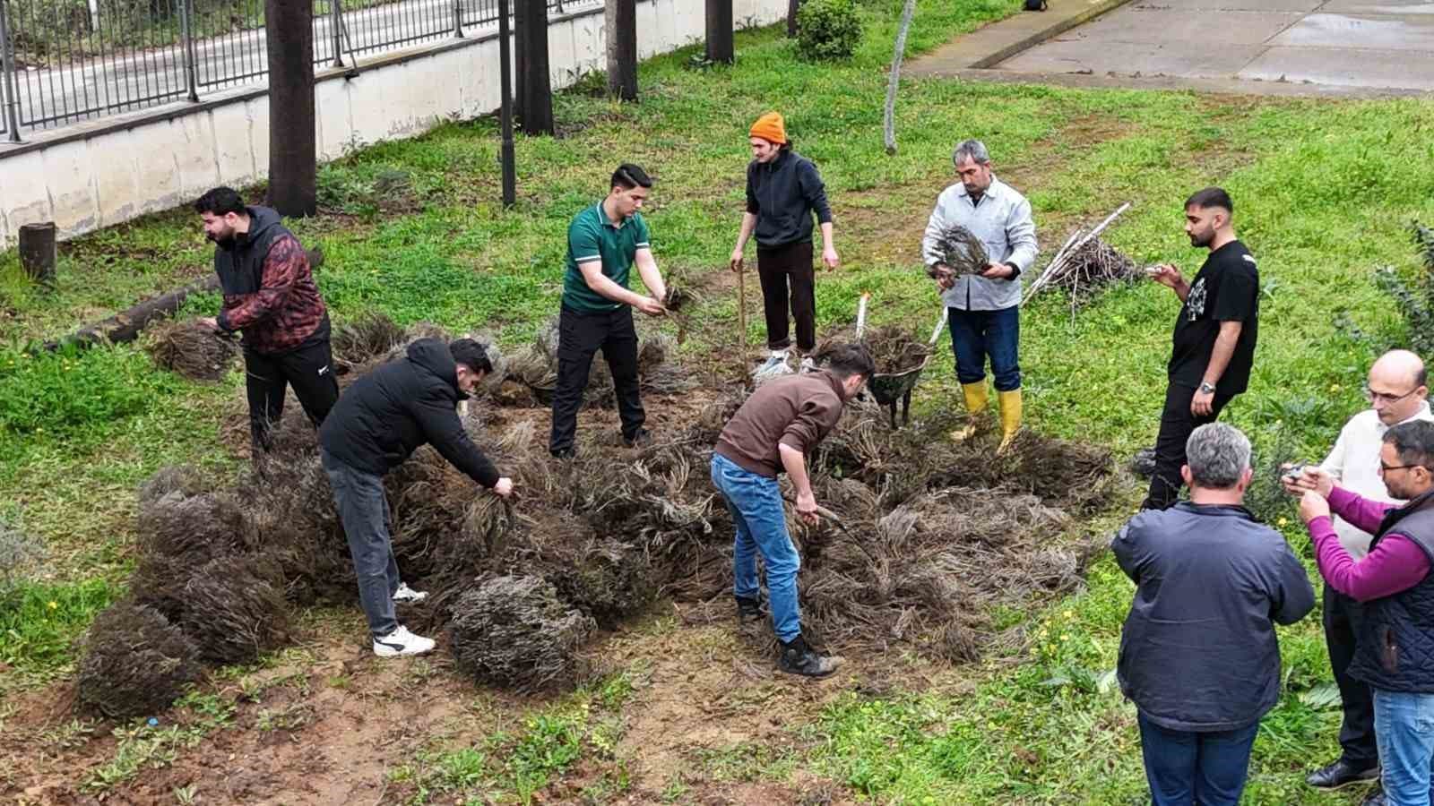 Edremit’te toprağa değer katan dokunuş