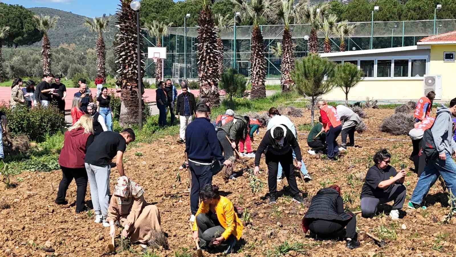 Edremit’te toprağa değer katan dokunuş