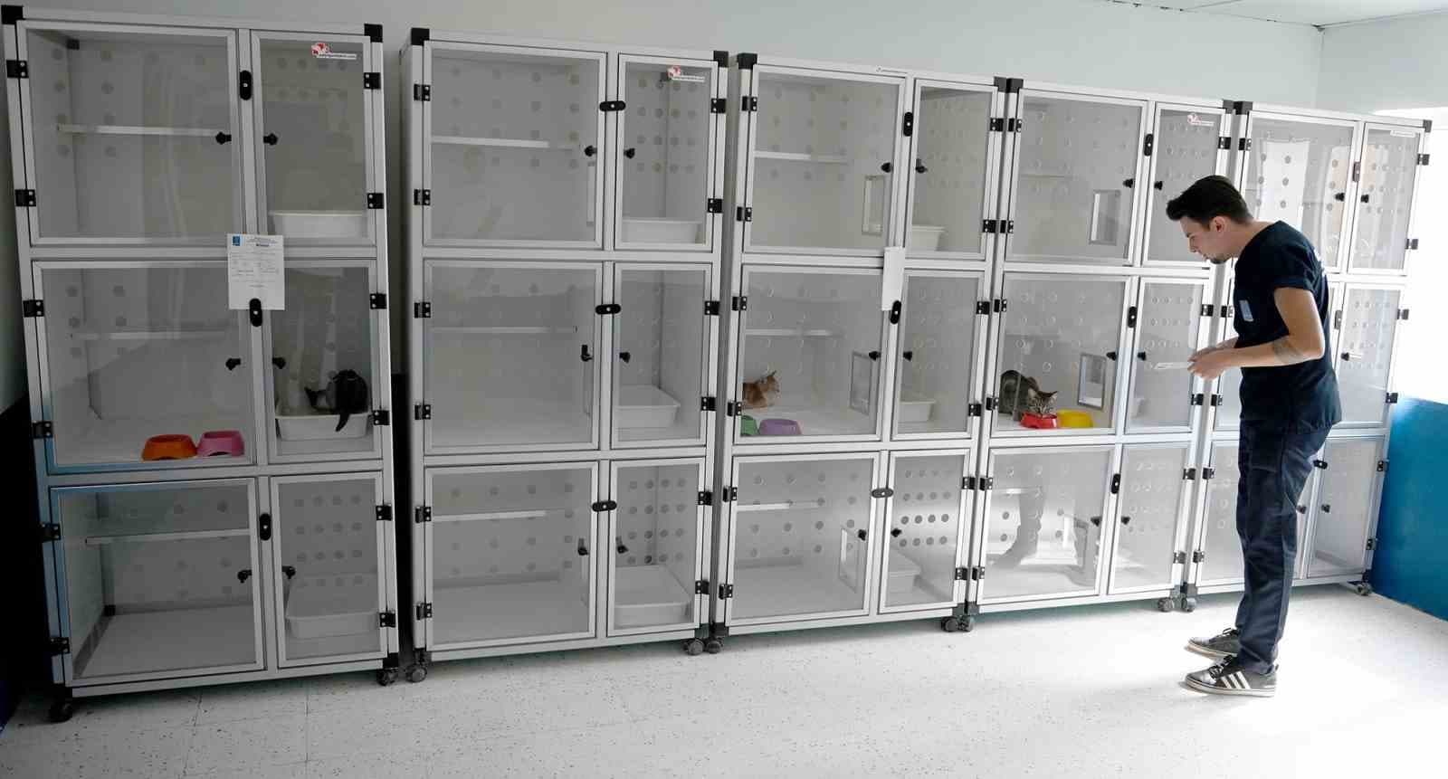 Kuşadası Belediyesi patili dostların yanında