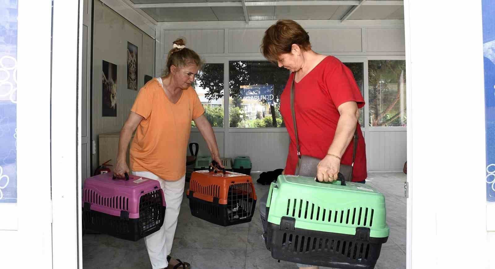 Kuşadası Belediyesi patili dostların yanında