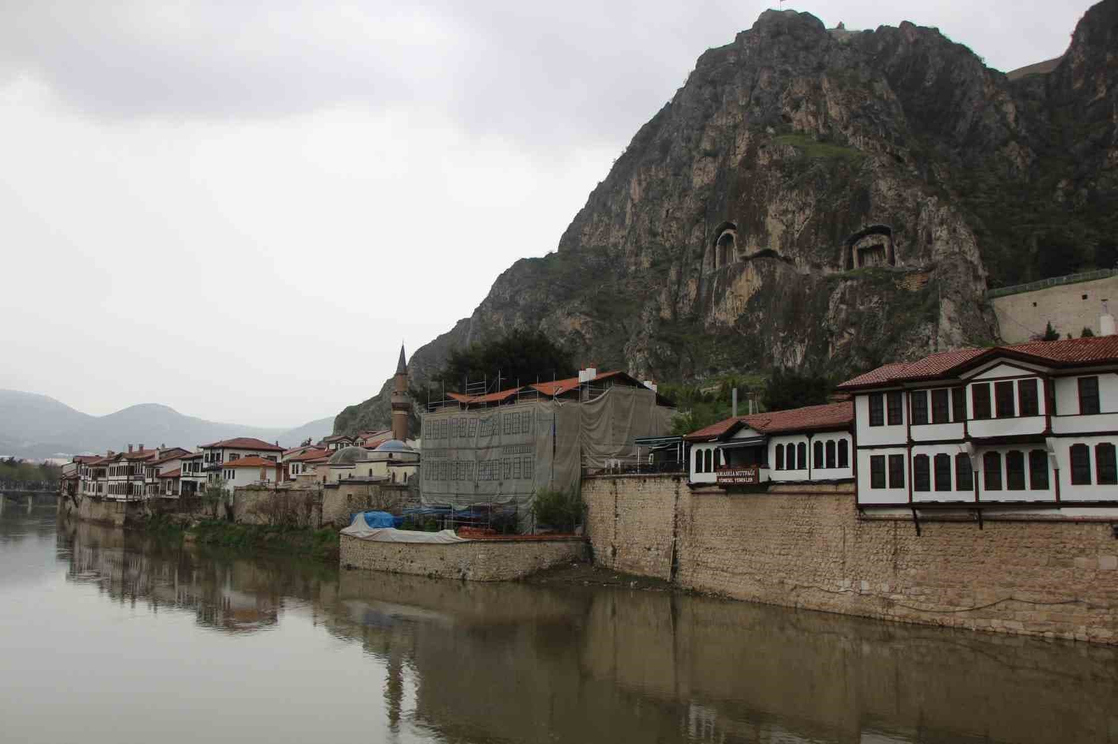Yeşilırmak Nehri’nin maskotu kaz yavruları beslenme saatinde