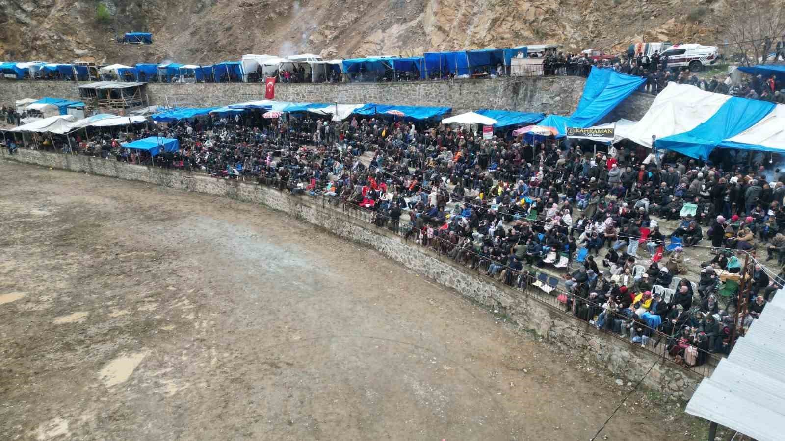 Artvin’de boğa güreşleri sezonu Sarıgöl’de açıldı