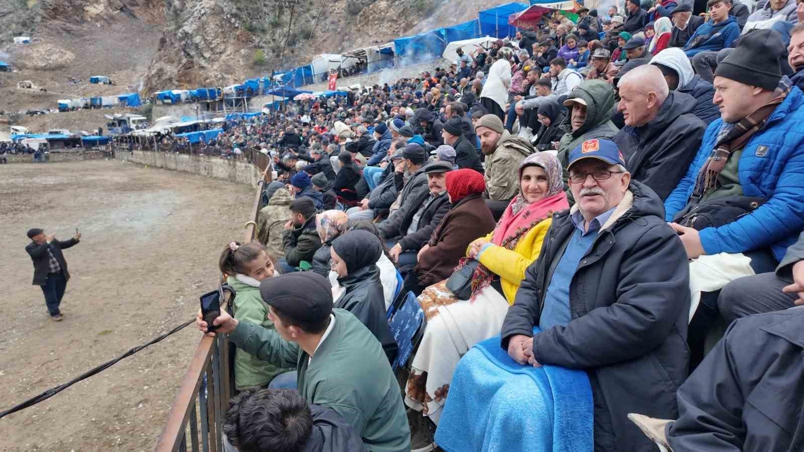 Artvin’de boğa güreşleri sezonu Sarıgöl’de açıldı