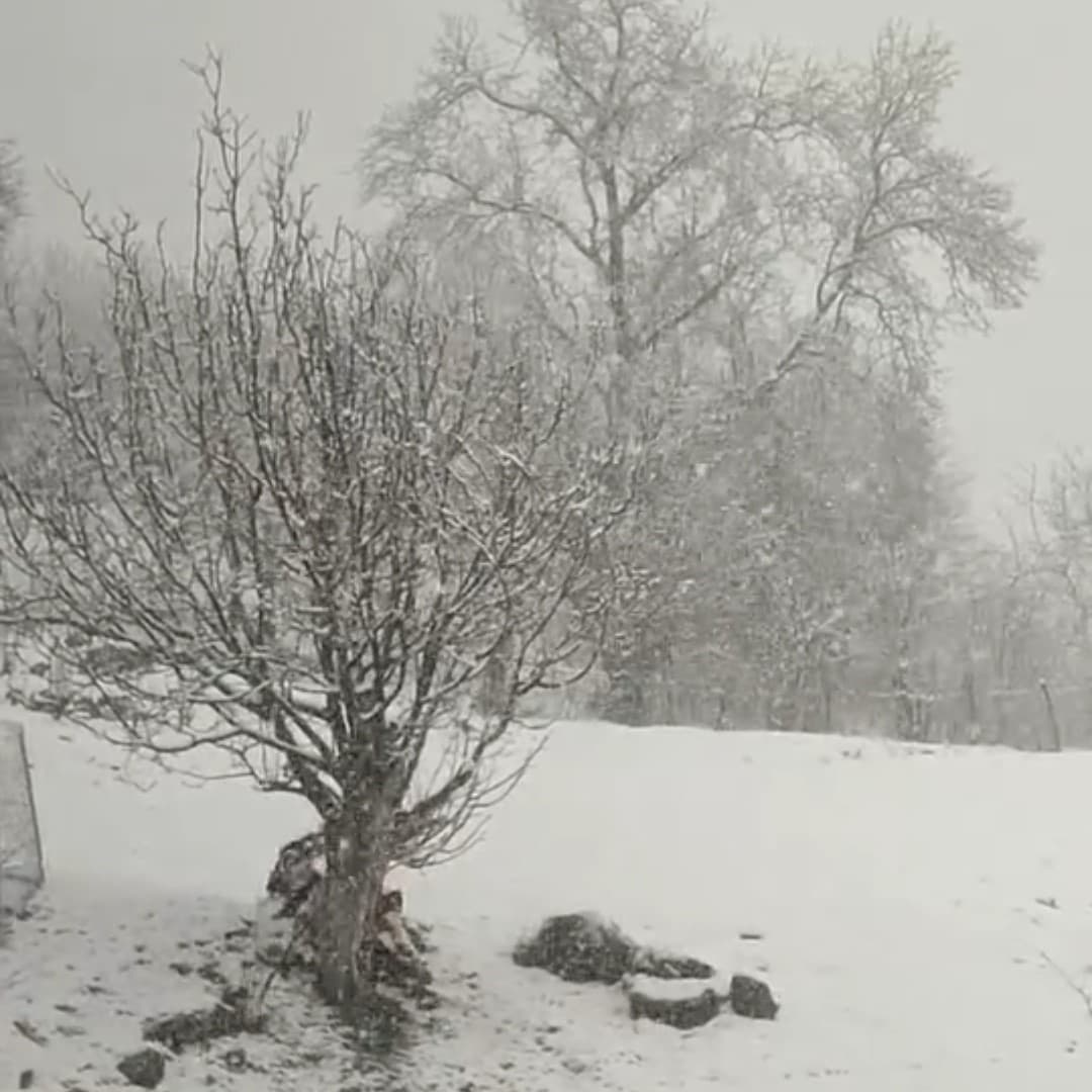 Siirt’te nisan ayında kar sürprizi