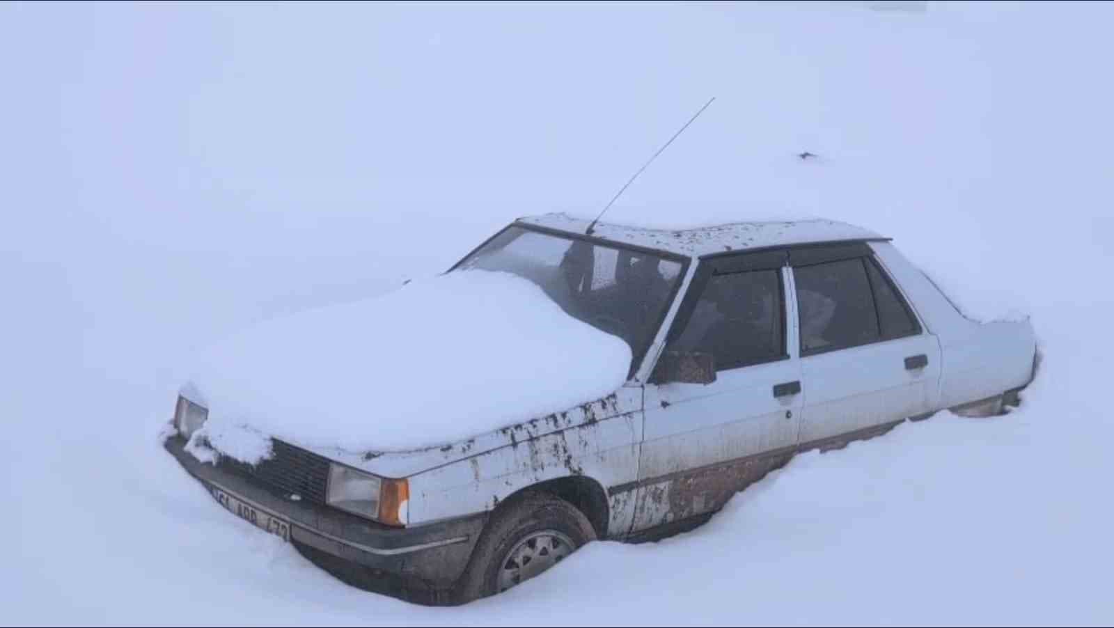 Torul’da kar altında ayı nöbeti