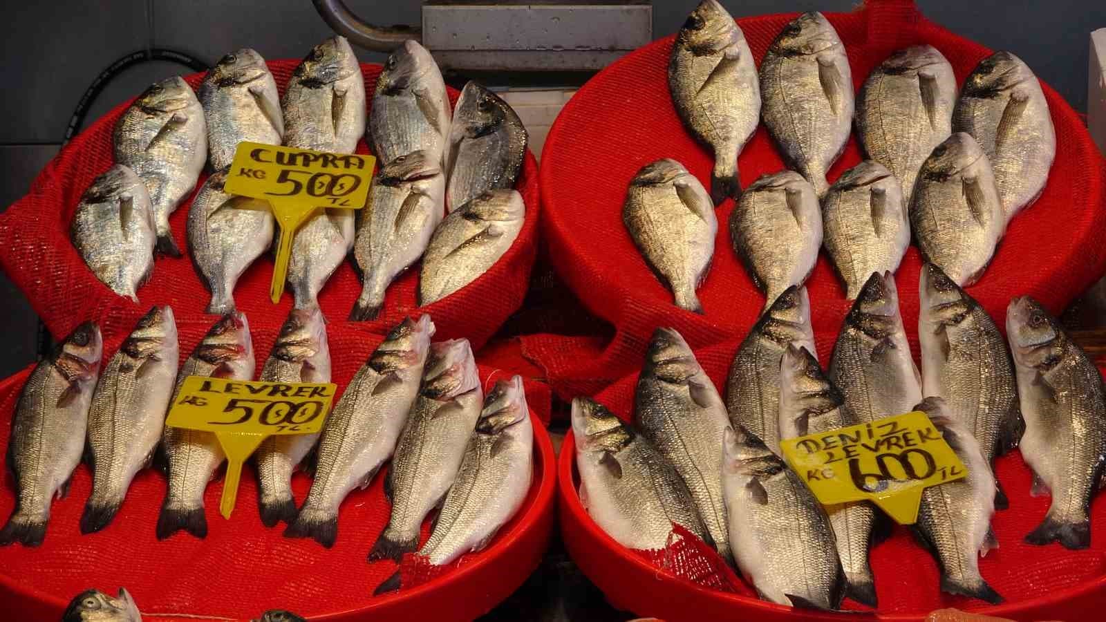 Balık av sezonu biterken, balıkçılar sezonu değerlendirdi