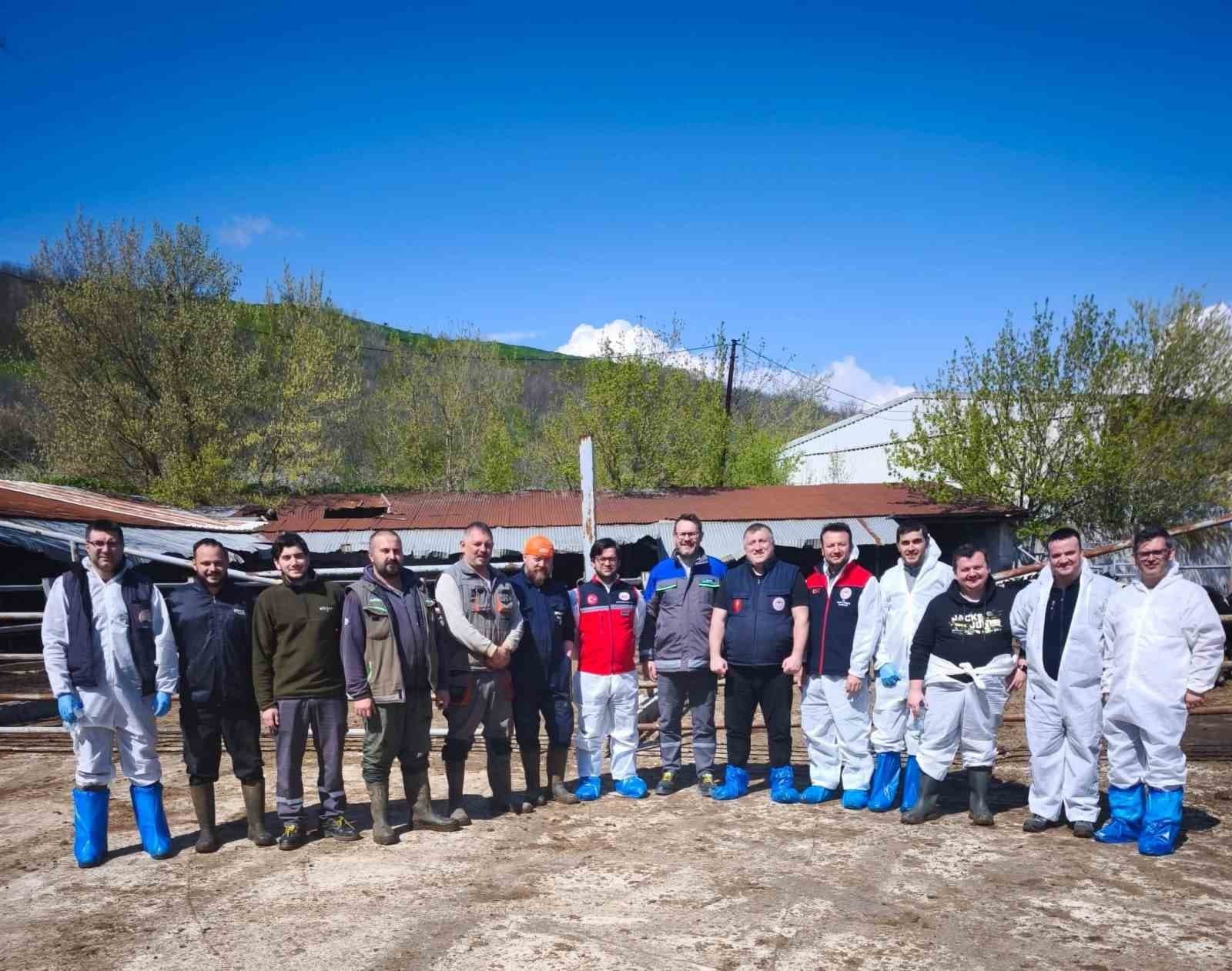 Tekirdağ’da ithal damızlık hayvanlar için sıkı sağlık denetimi