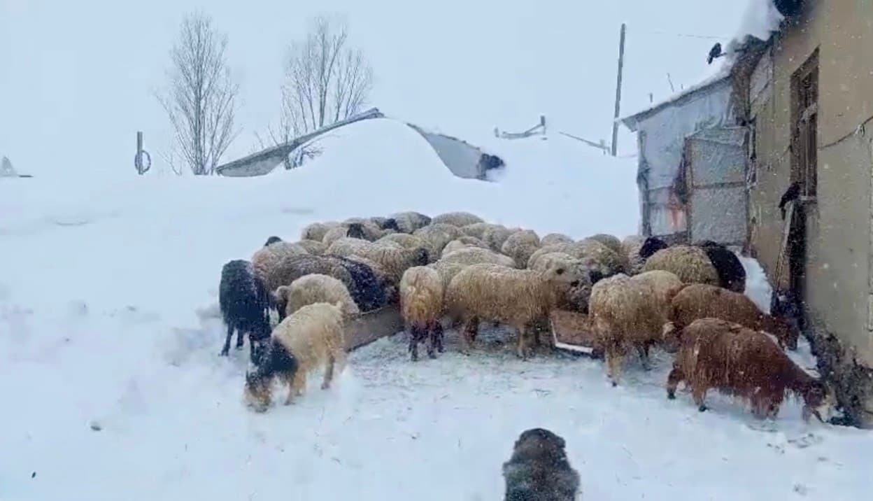Ağrı’da Nisan ayında etkili olan kar kalınlığı insan boyunu aştı