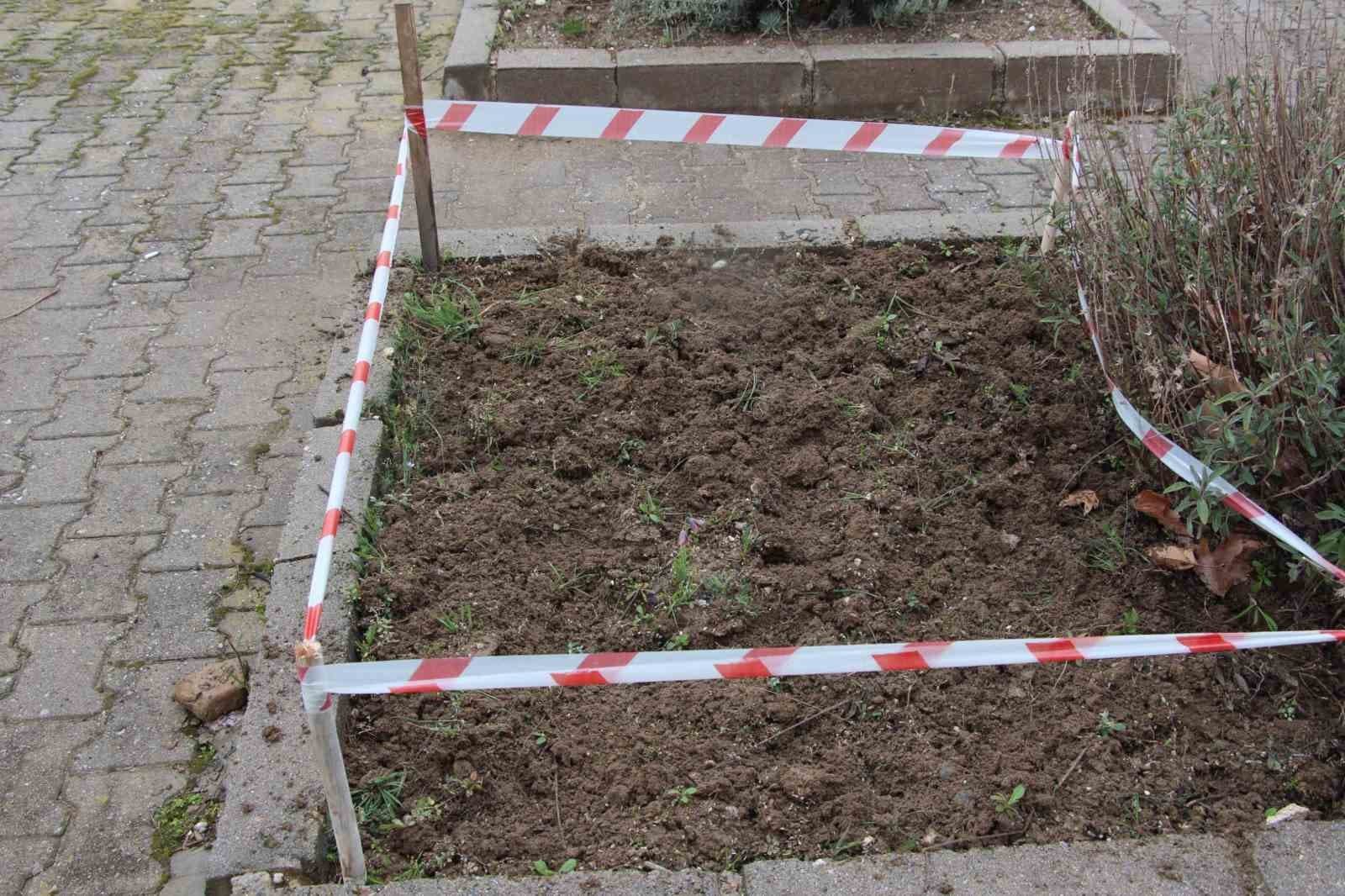 Gediz MYO kampüsünde sürpriz ’Ters Lale’