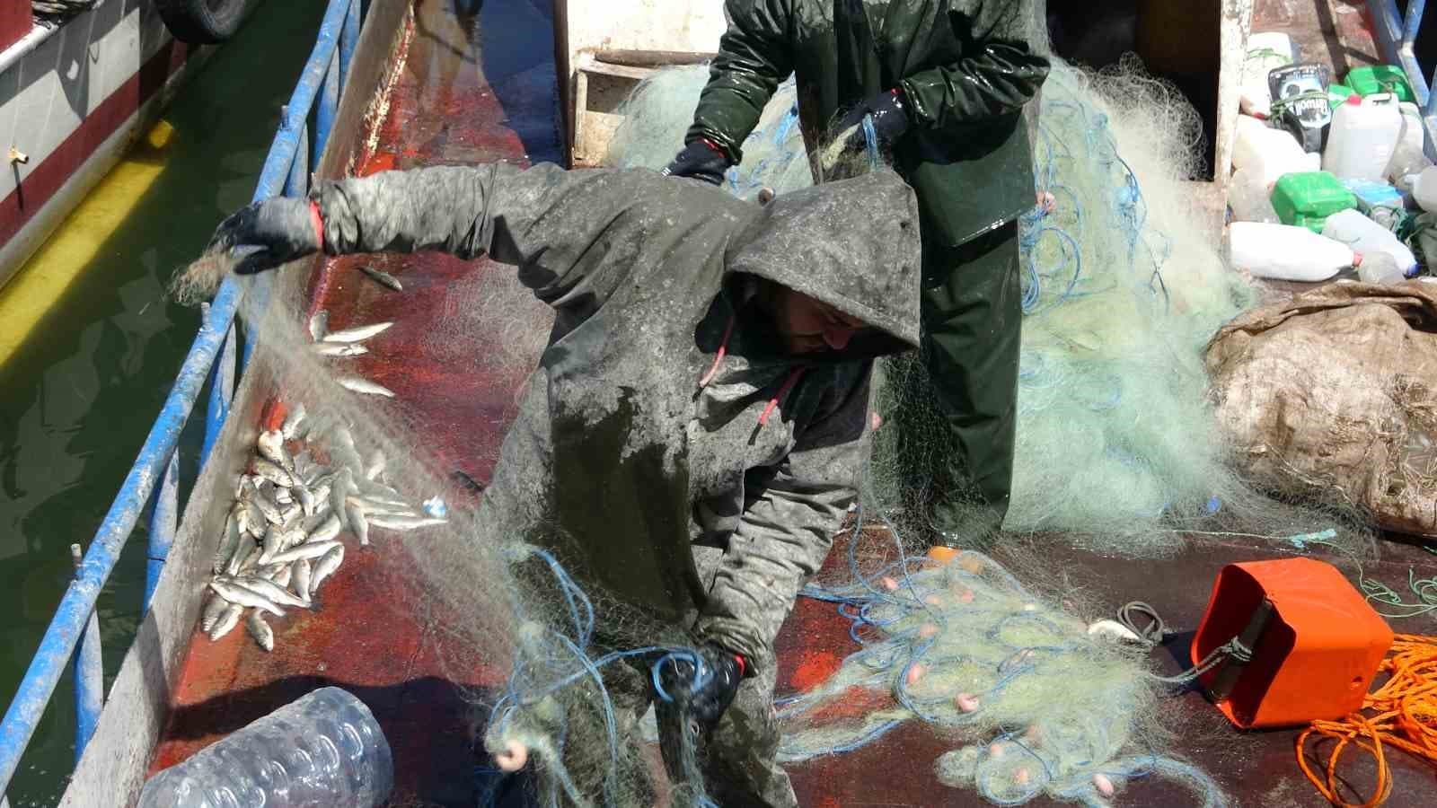 Van Gölü’nde inci kefali için av yasağı: Kaçak avlanmanın cezası 16 bin TL