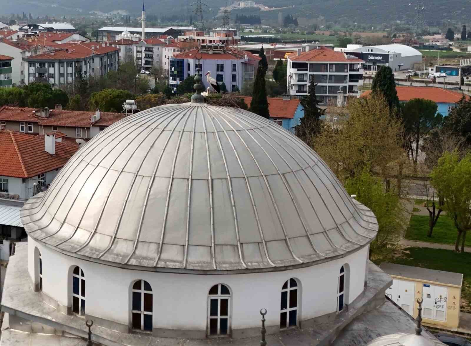 Menteşe’nin sadık misafirleri geldi, 30 yıllık gelenek bozulmadı