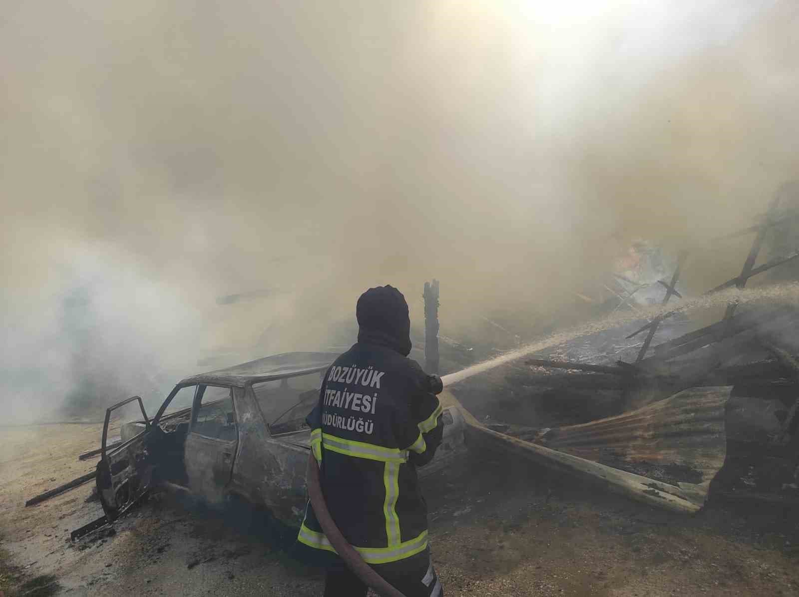 Araç yangını odunluğa sıçradı