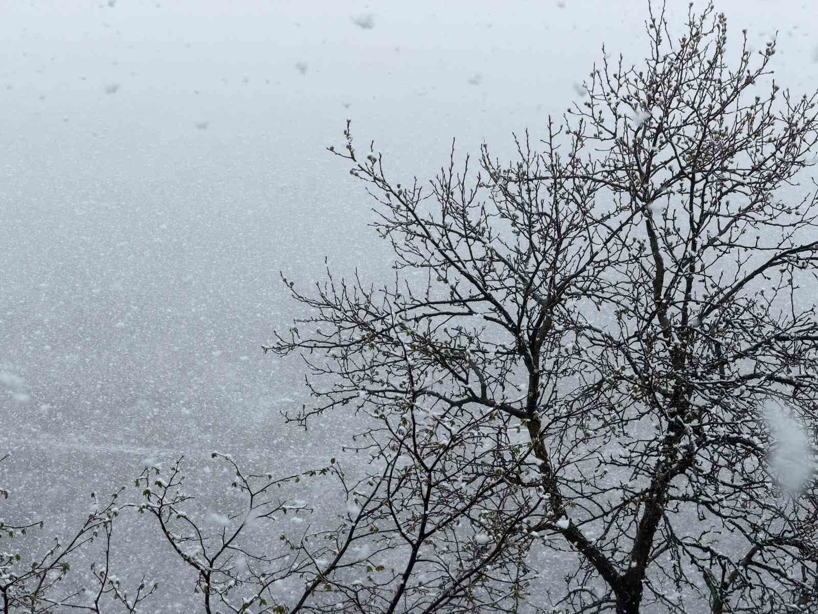Zigana Dağı’nın yüksek kesimlerinde Nisan ayının ortasında lapa lapa kar süprizi
