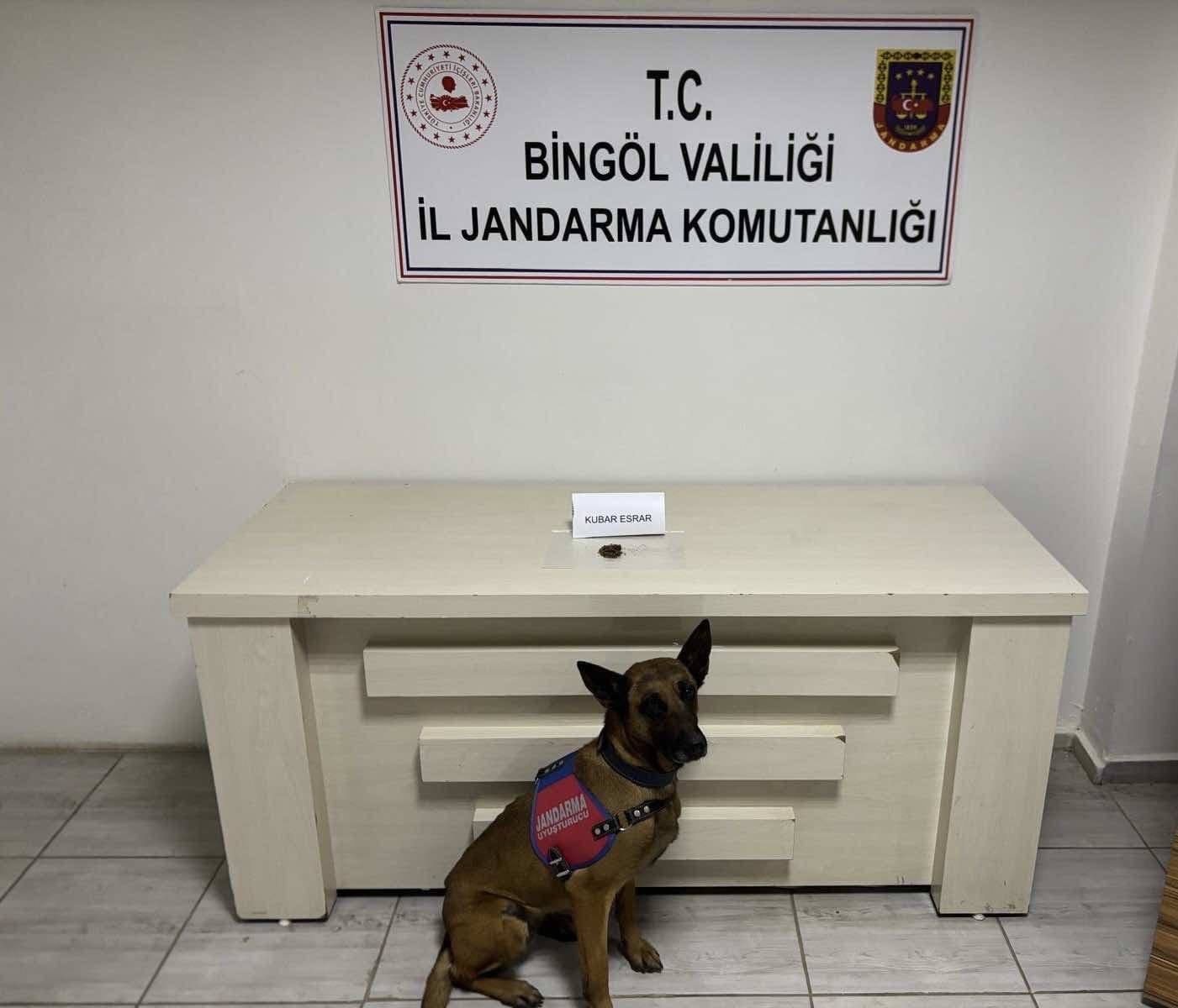 Bingöl’de kesinleşmiş hapis cezası bulunan 3 zanlı yakalandı