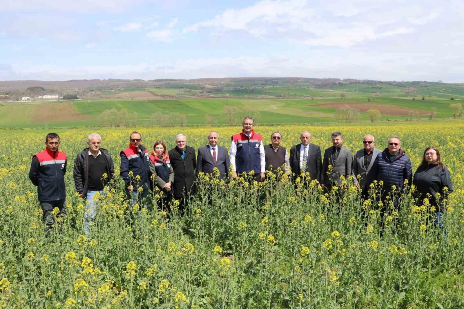 Ayçiçeği ve kuru fasulye tohumları çiftçilere teslim edildi