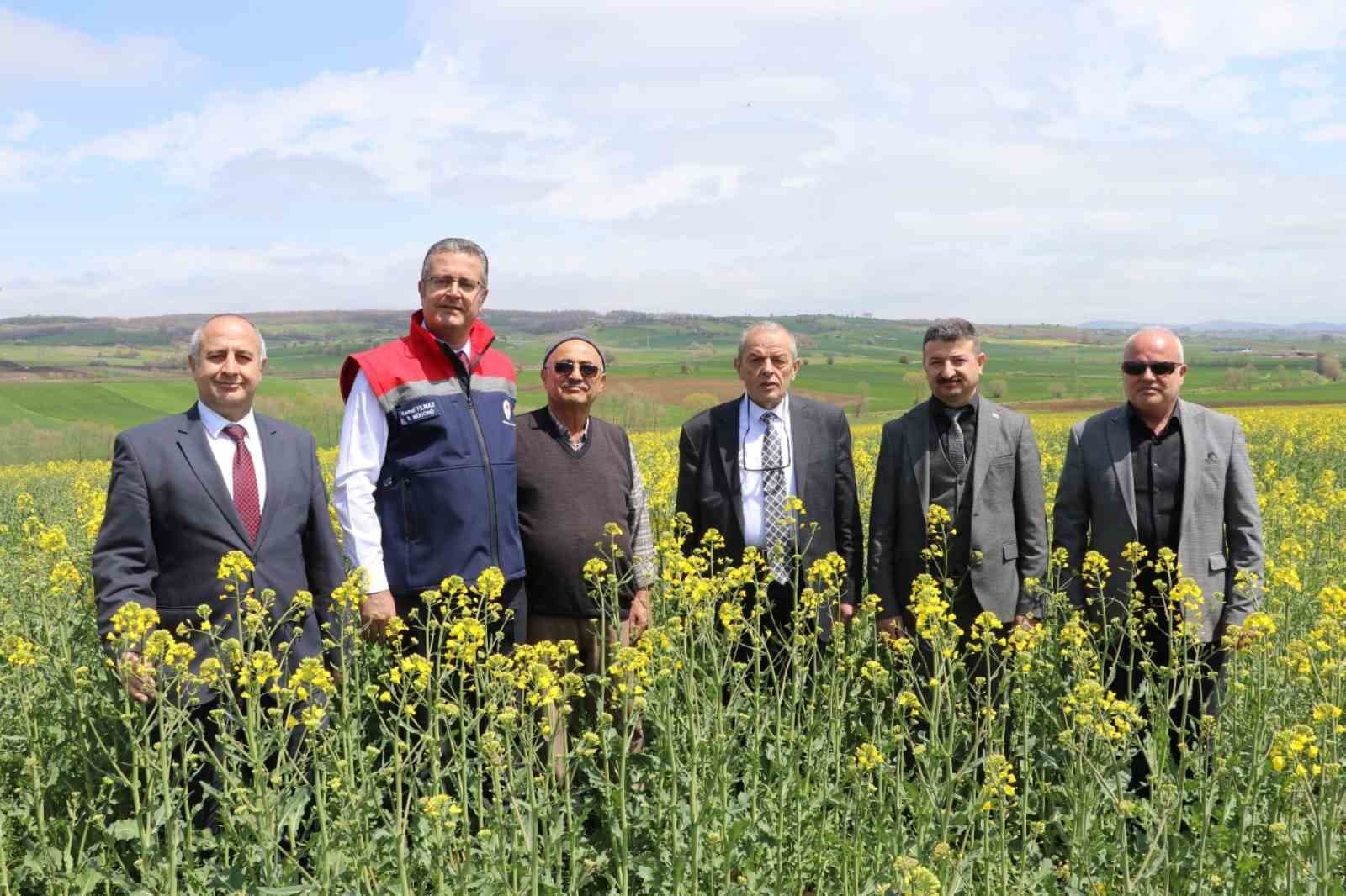 Ayçiçeği ve kuru fasulye tohumları çiftçilere teslim edildi