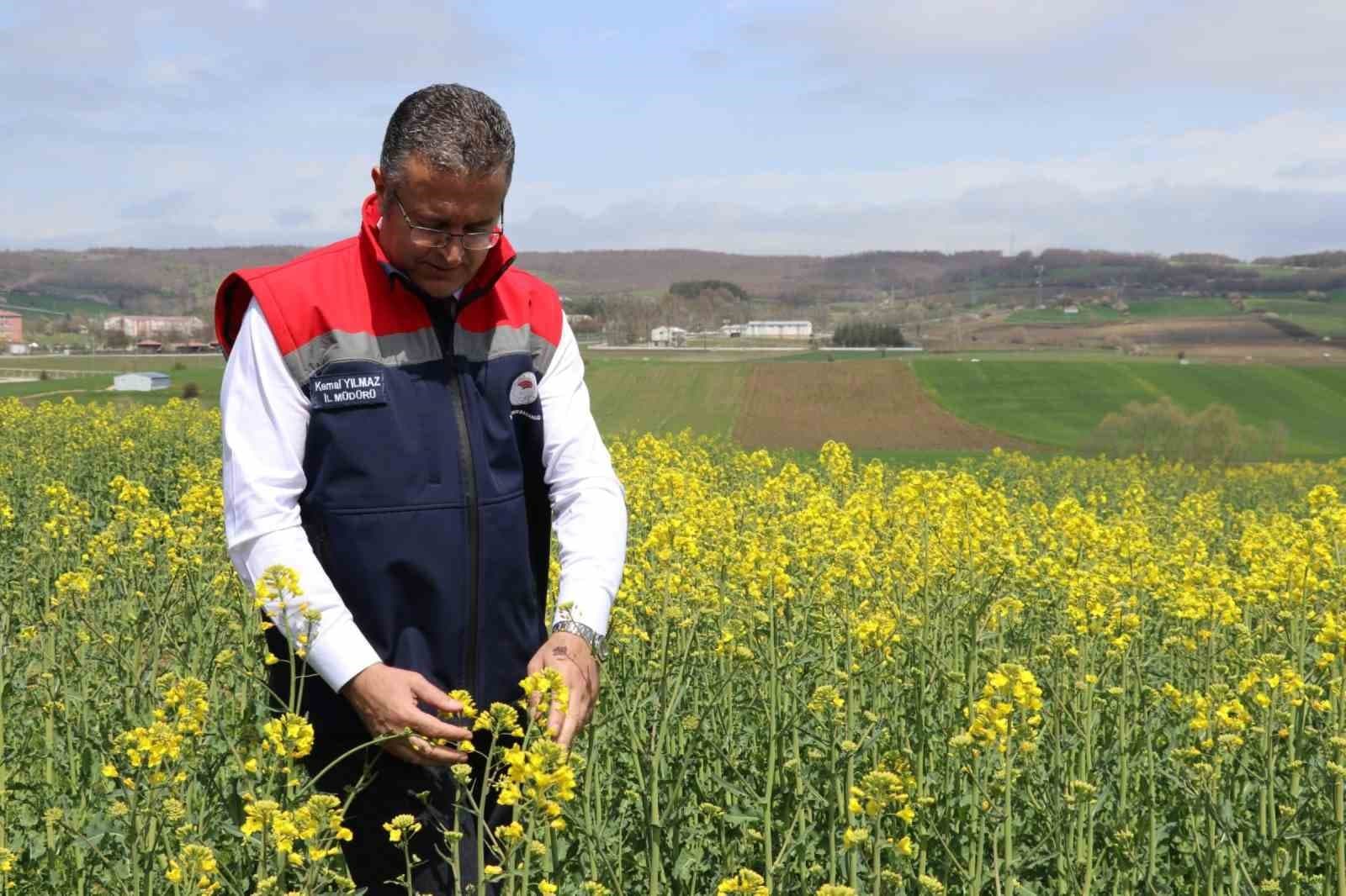 Ayçiçeği ve kuru fasulye tohumları çiftçilere teslim edildi