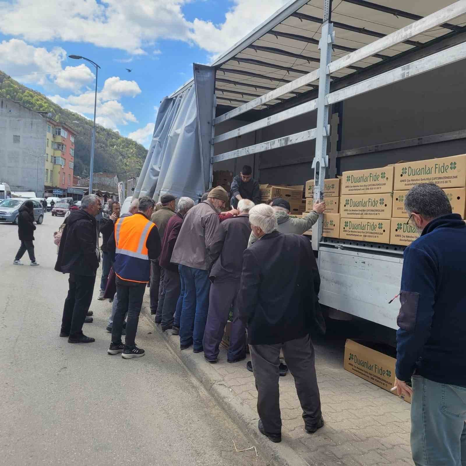 Kastamonu’da çiftçilere 147 bin adet sebze fidesi dağıtıldı