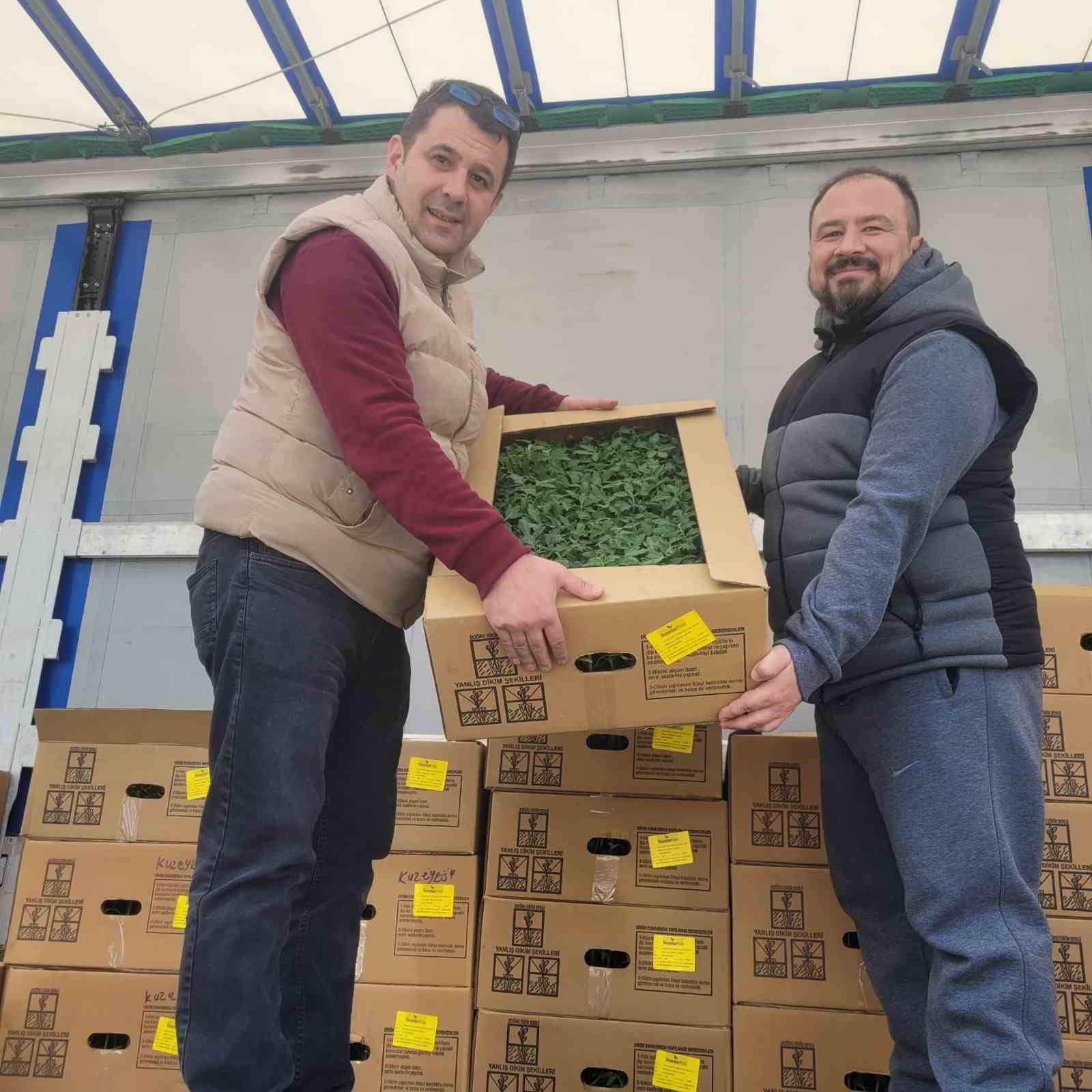 Kastamonu’da çiftçilere 147 bin adet sebze fidesi dağıtıldı