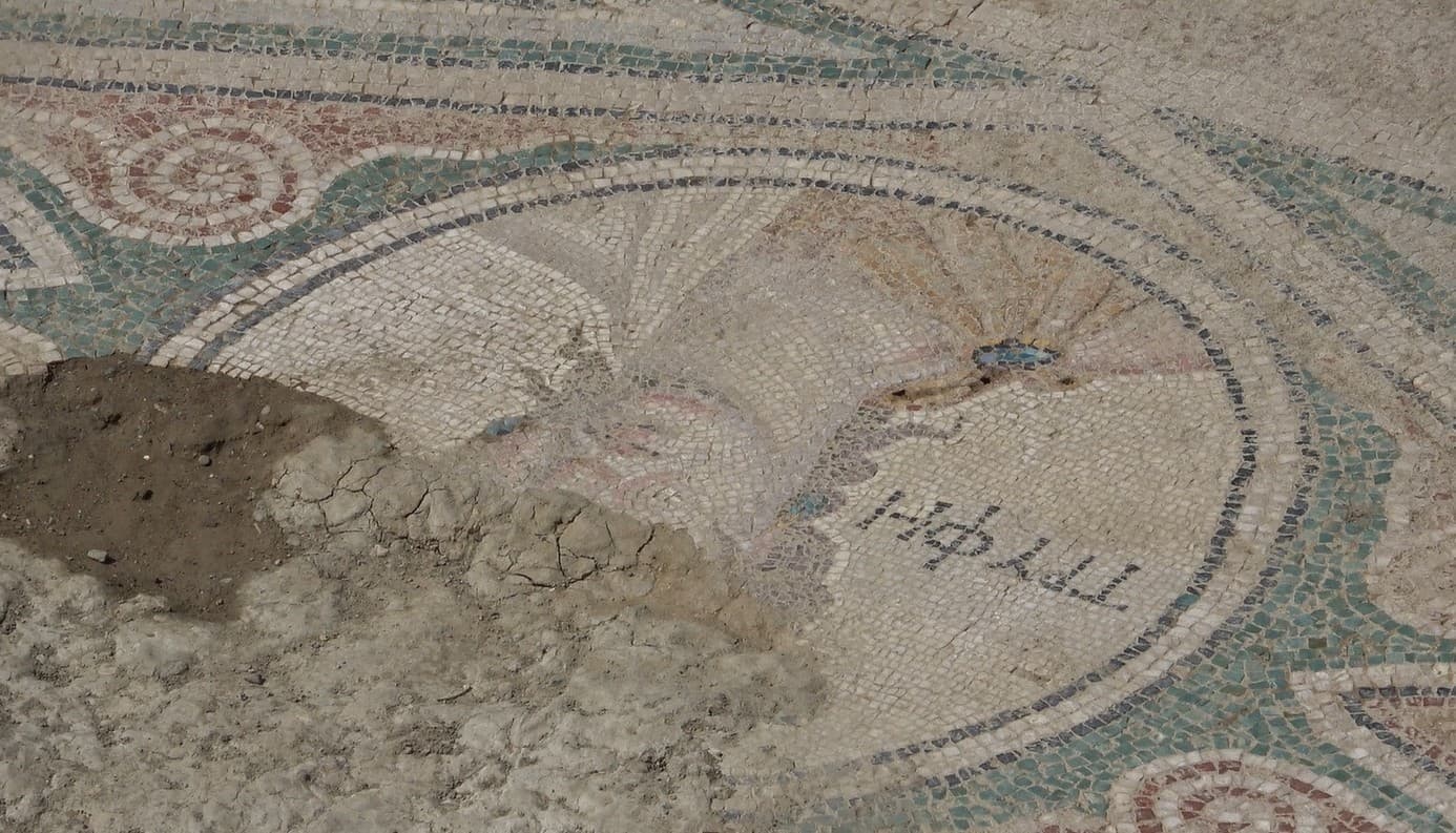 İkinci Zeugma Tokat’ta gün yüzüne çıkartılıyor
