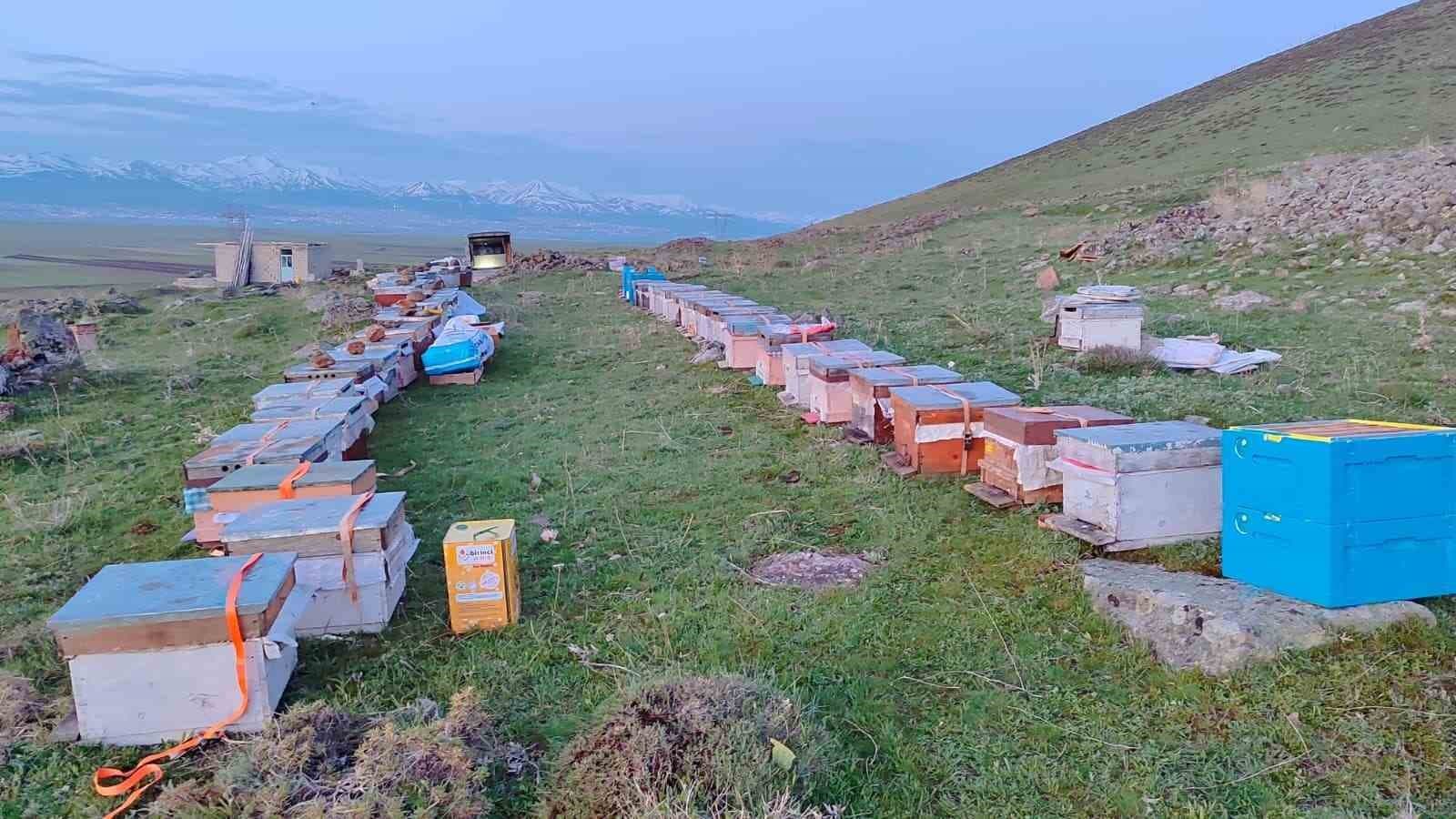 Karadeniz’in gezgin arıcıları yeni sezon için Doğu Anadolu’nun dağlarını mesken tuttu