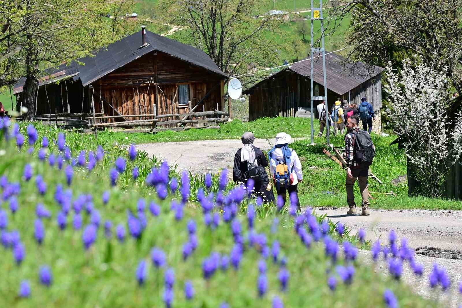 Şehrin gürültüsünden yaylalara kaçtılar