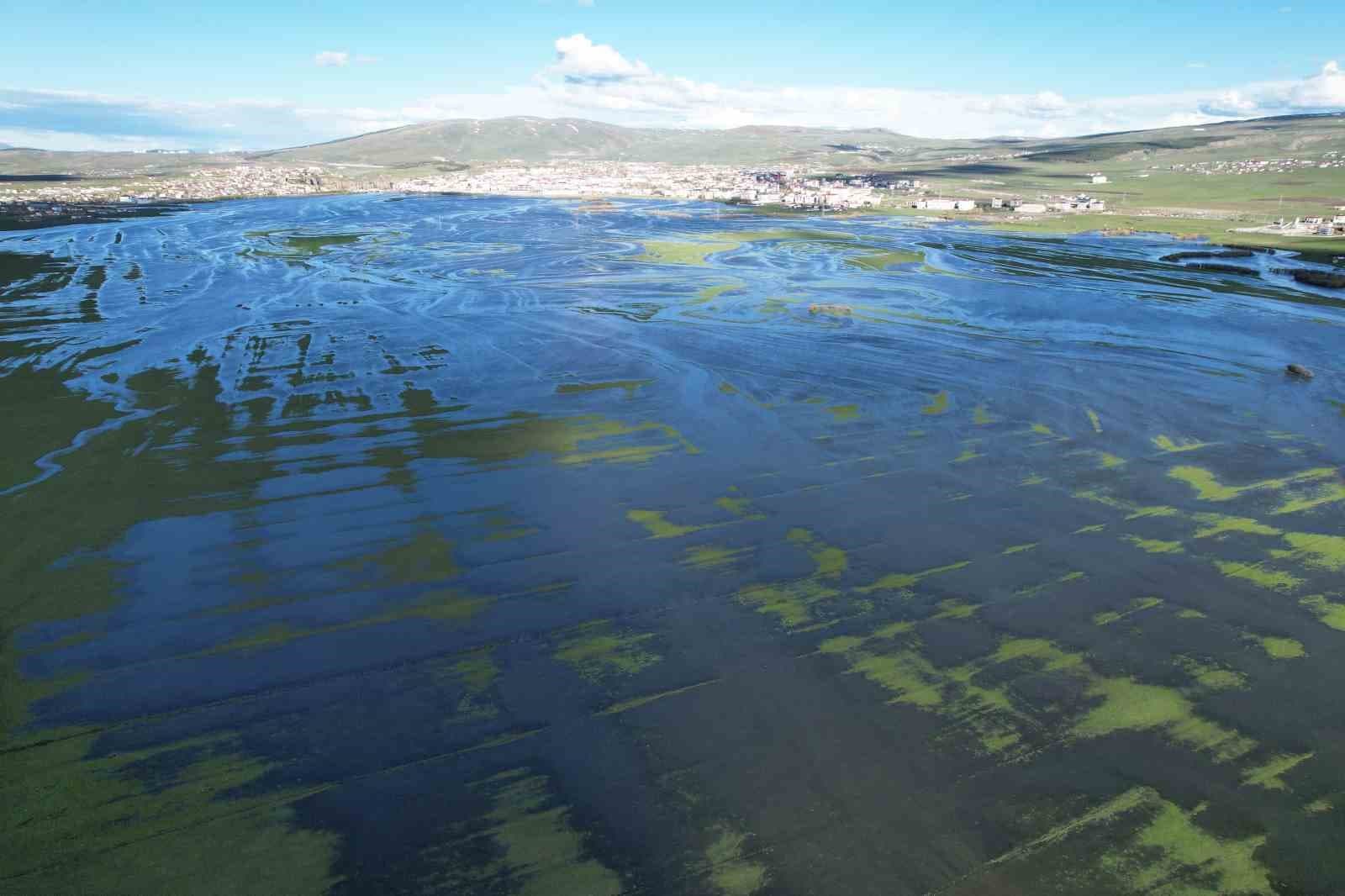 Sular altında kalan Ardahan Ovası havadan görüntülendi