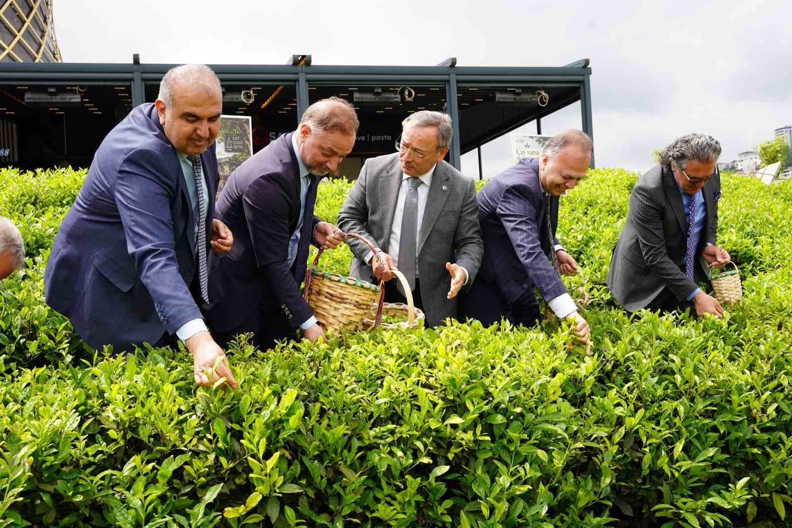 Rize’de Dünya Çay Günü etkinliği