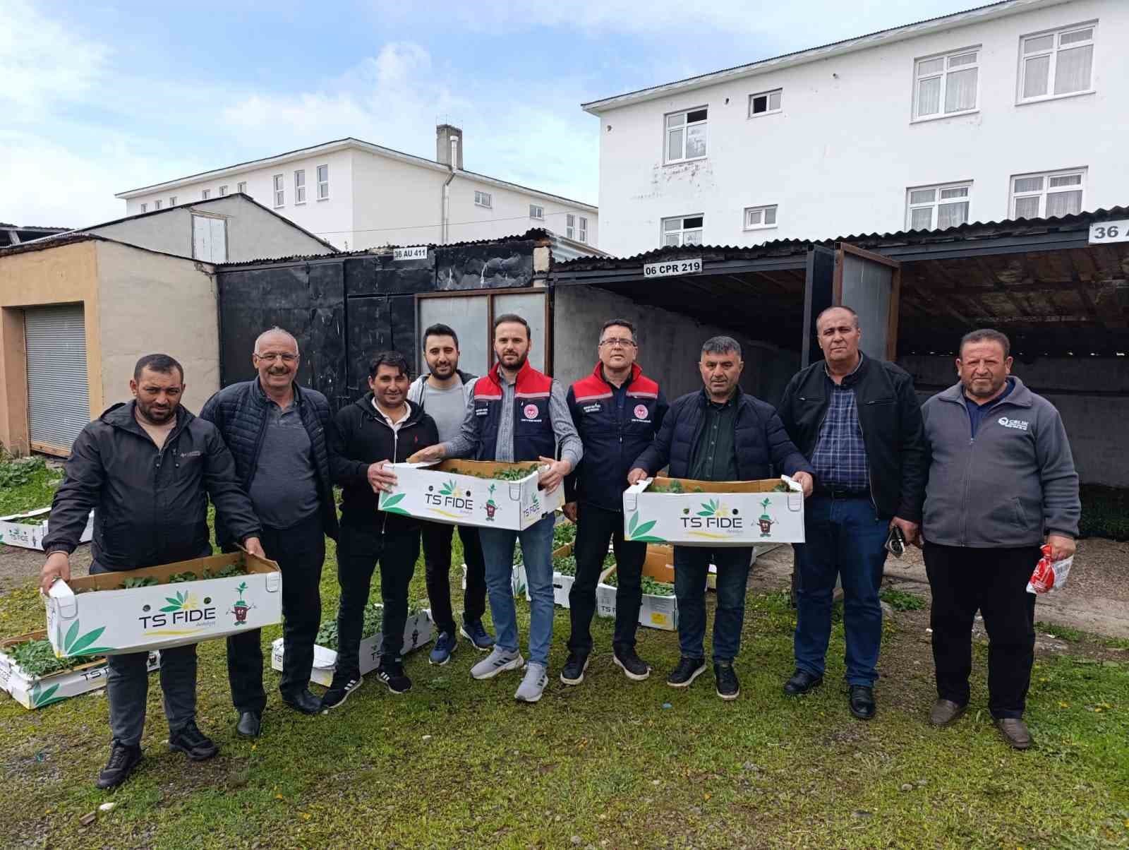 Kars’ta sebze üretimine destek: Binlerce fide üreticiyle buluştu