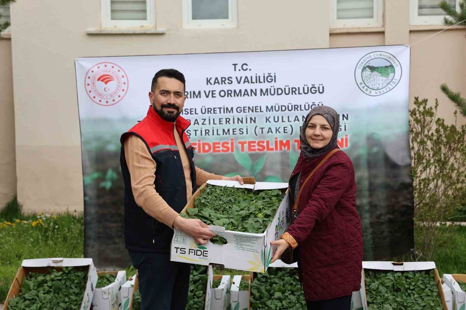 Kars’ta sebze üretimine destek: Binlerce fide üreticiyle buluştu