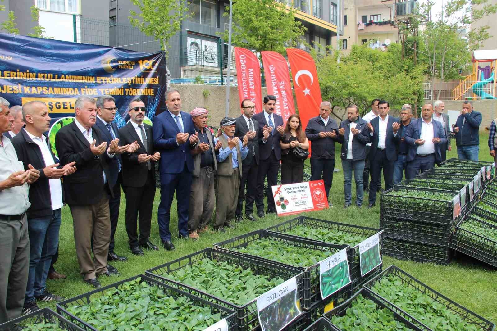 Şırnak’ta 252 üreticiye sebze fidesi dağıtıldı