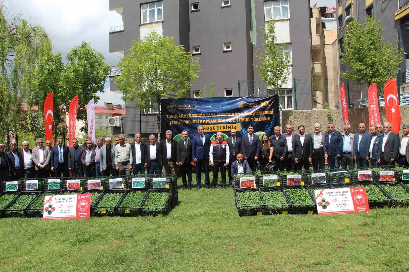 Şırnak’ta 252 üreticiye sebze fidesi dağıtıldı